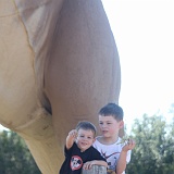 Dinosaur Valley and Fossil Rim
